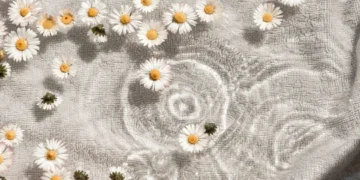 Daisies floating on water