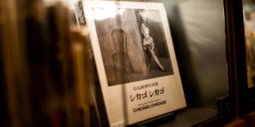 person browsing book